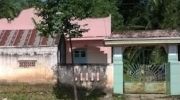 tanlinh 10